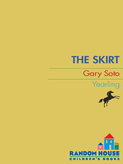 Cover image for book The Skirt