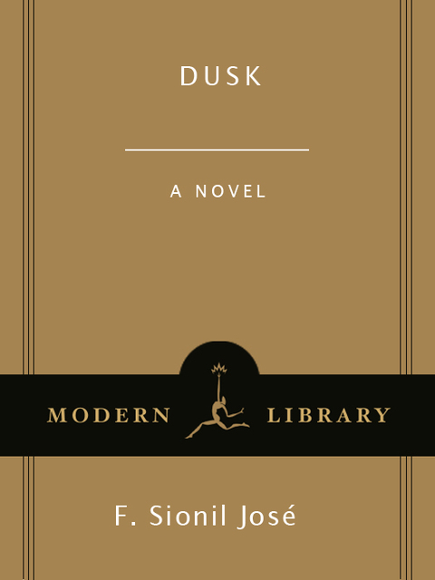 Cover image for book Dusk