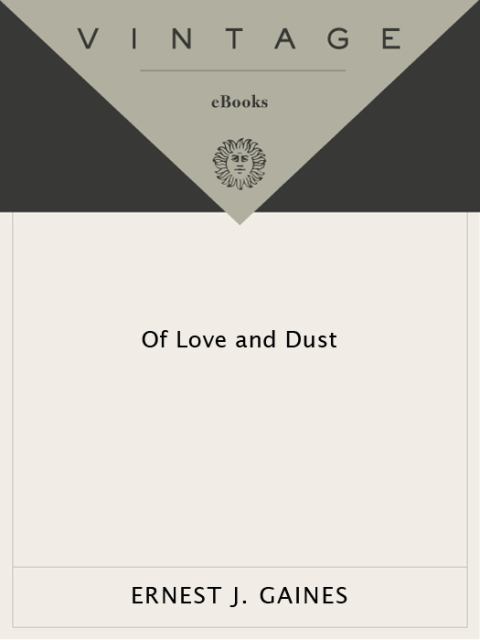 Cover image for book Of Love and Dust