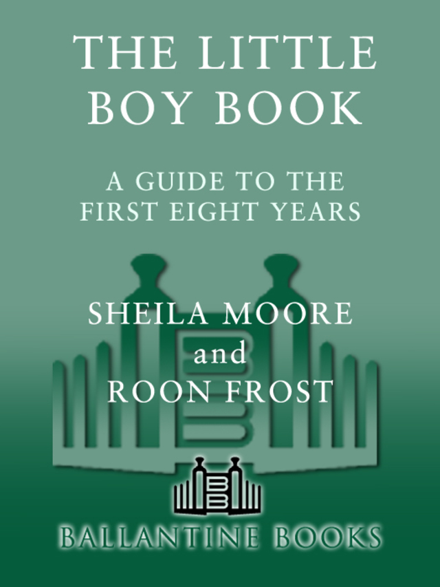 The Little Boy Book