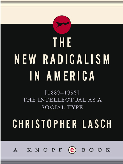 Cover image for book New Radicalism in America