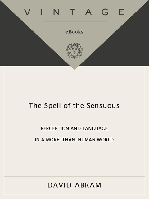 Cover image for book The Spell of the Sensuous
