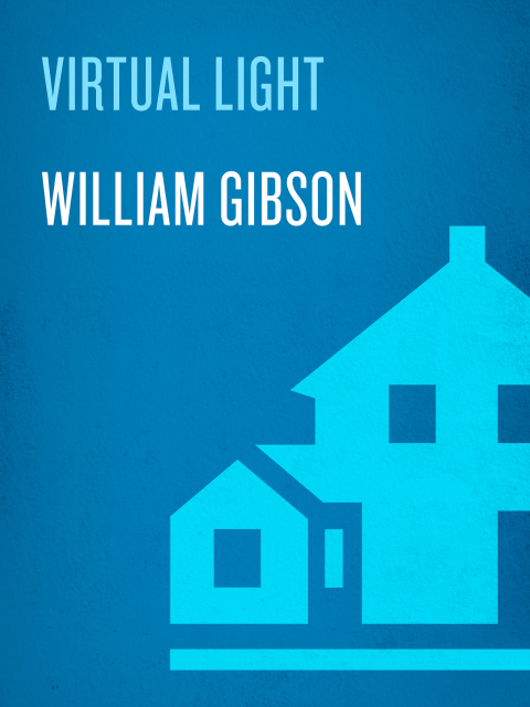 Cover image for book Virtual Light