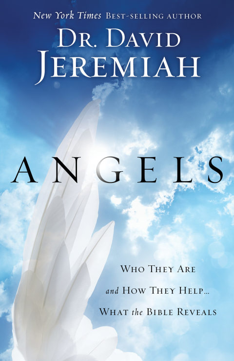 Cover image for book Angels