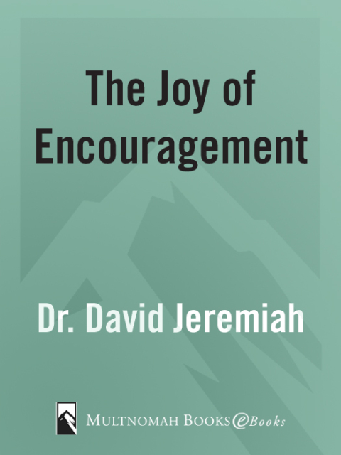 Cover image for book The Joy of Encouragement