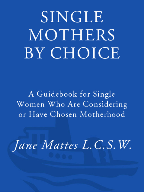 Cover image for book Single Mothers by Choice