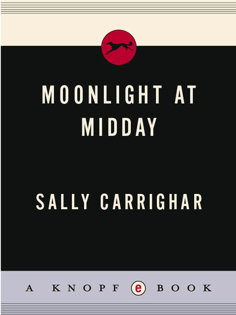Cover image for book Moonlight At Midday