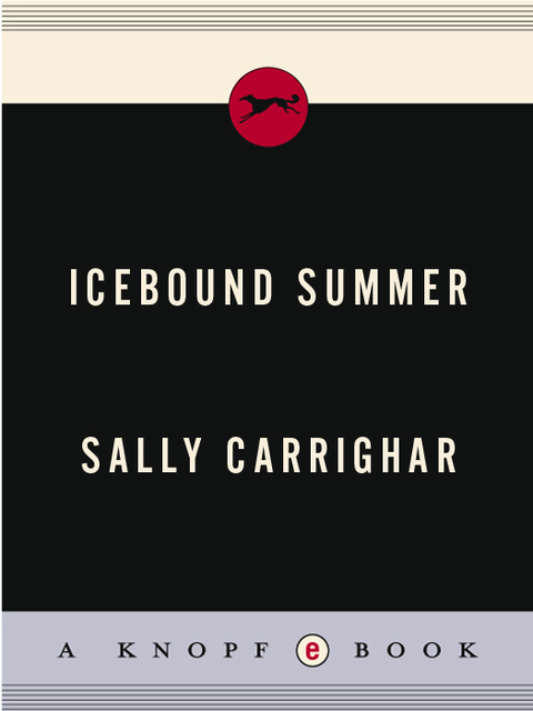 Cover image for book Icebound Summer