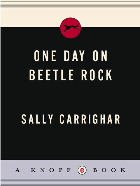 Cover image for book One Day On Beetle Rock