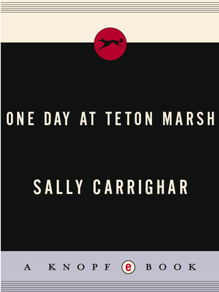 One Day At Teton Marsh