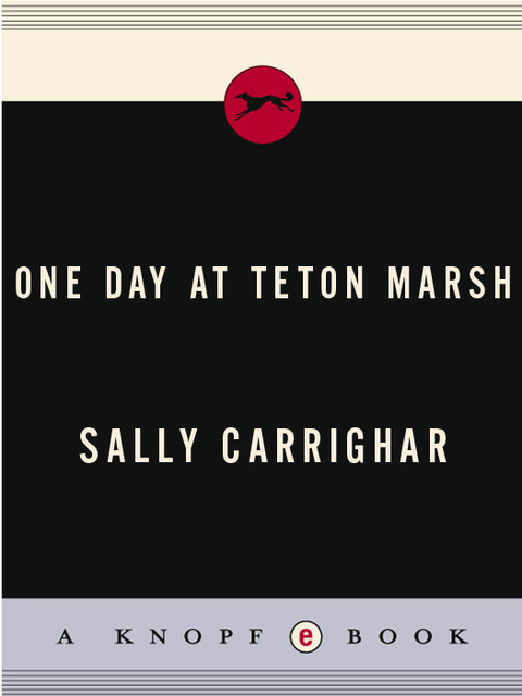 Cover image for book One Day At Teton Marsh