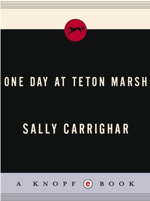 One Day At Teton Marsh