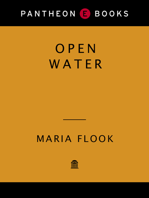 Cover image for book Open Water