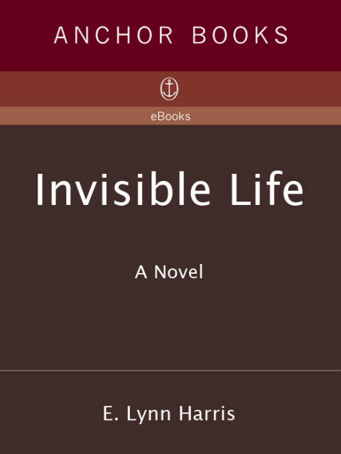 Cover image for book Invisible Life