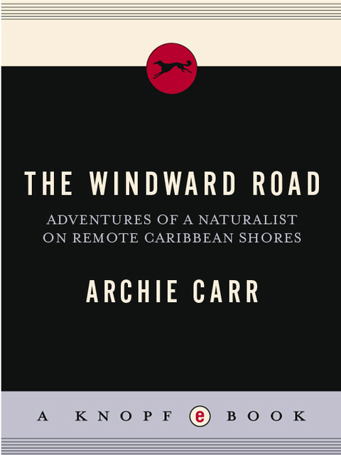 Cover image for book The Windward Road