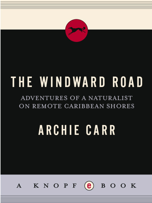 The Windward Road