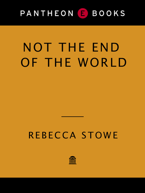 Cover image for book NOT THE END OF THE WORLD