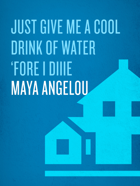 Cover image for book Just Give Me a Cool Drink of Water 'fore I Diiie