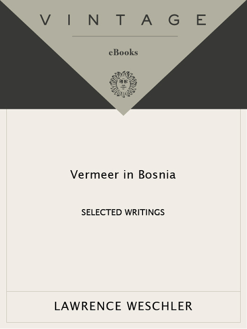 Cover image for book Vermeer in Bosnia