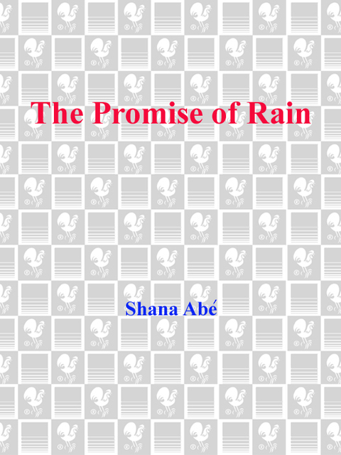 Cover image for book The Promise of Rain