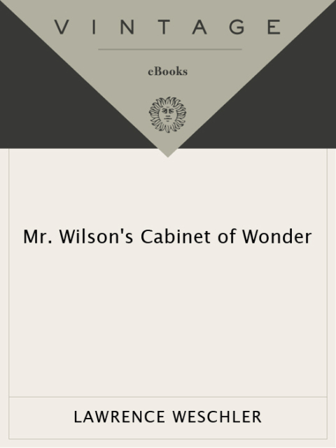 Cover image for book Mr. Wilson's Cabinet Of Wonder