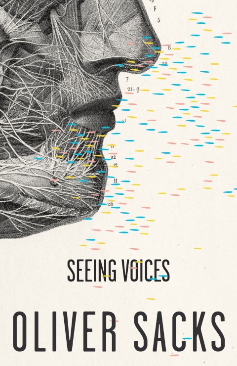 Cover image for book Seeing Voices