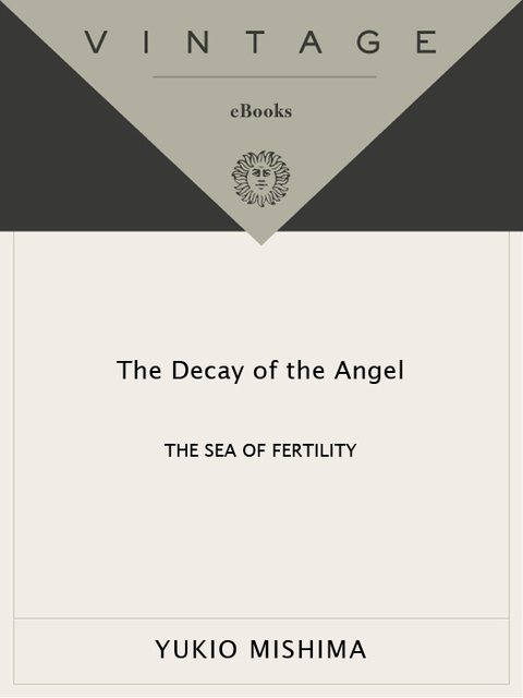 Cover image for book The Decay of the Angel