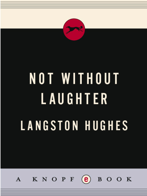 Cover image for book Not Without Laughter