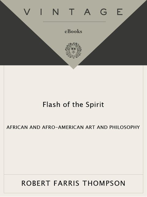 Cover image for book Flash of the Spirit