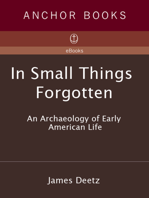 Cover image for book In Small Things Forgotten