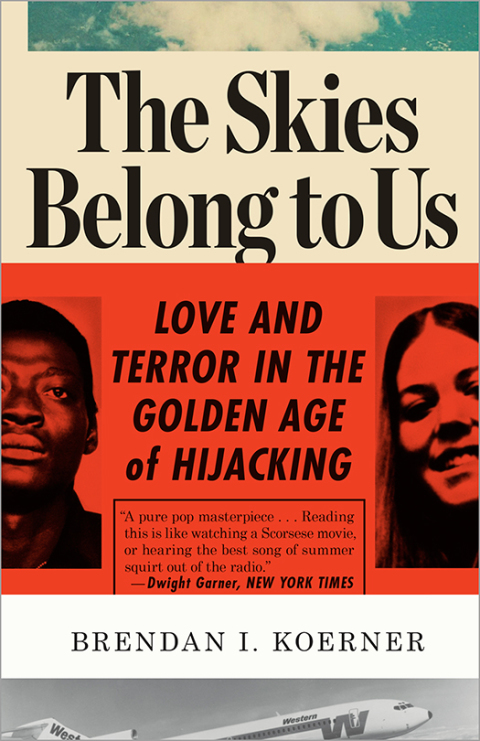 Cover image for book The Skies Belong to Us