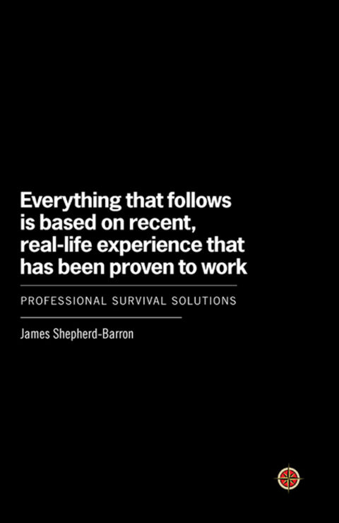 Cover image for book Everything That Follows Is Based on Recent, Real-Life Experience That Has Been Proven to Work