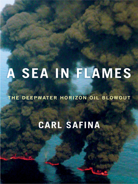 Cover image for book A Sea in Flames