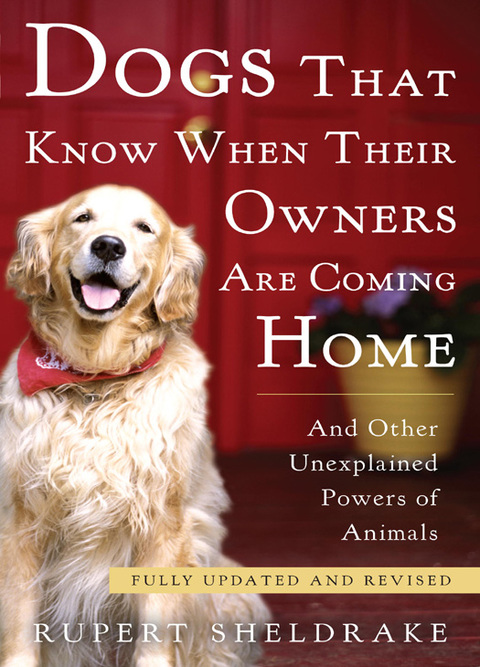 Cover image for book Dogs That Know When Their Owners Are Coming Home