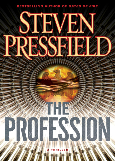 Cover image for book The Profession