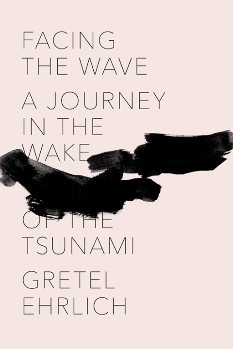 Cover image for book Facing the Wave
