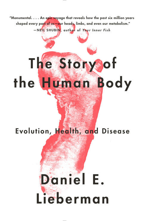 Cover image for book The Story of the Human Body