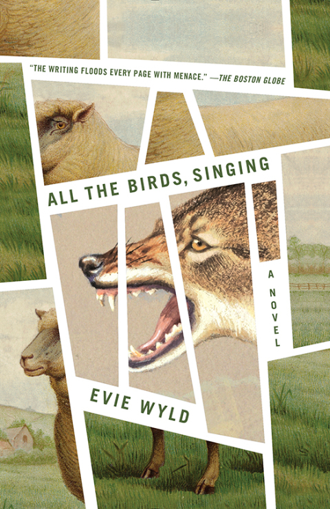 Cover image for book All the Birds, Singing