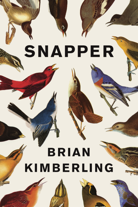 Cover image for book Snapper