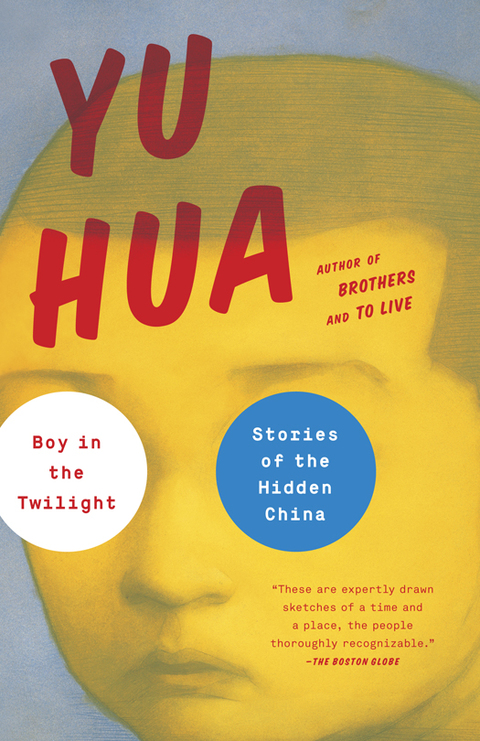 Cover image for book Boy in the Twilight