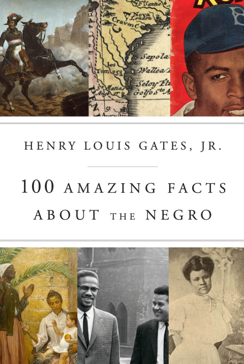 Cover image for book 100 Amazing Facts About the Negro