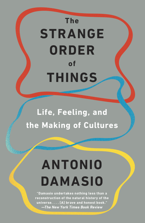 Cover image for book The Strange Order of Things