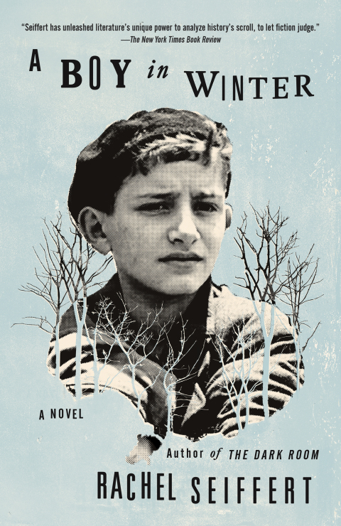 Cover image for book A Boy in Winter