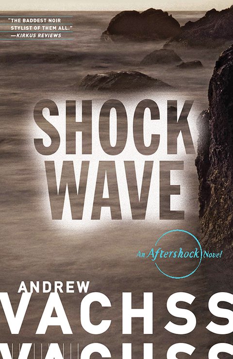 Cover image for book Shockwave