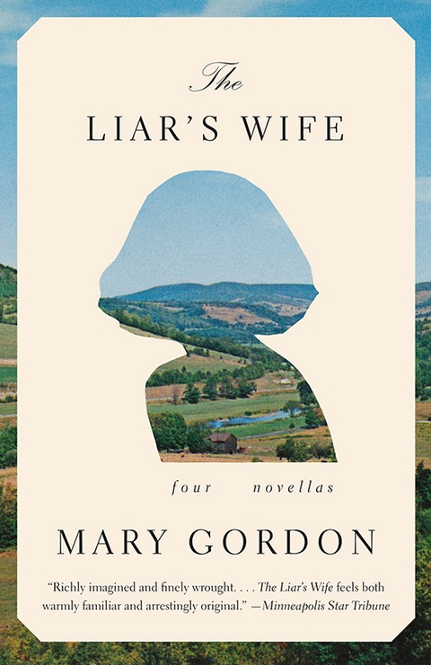 Cover image for book The Liar's Wife