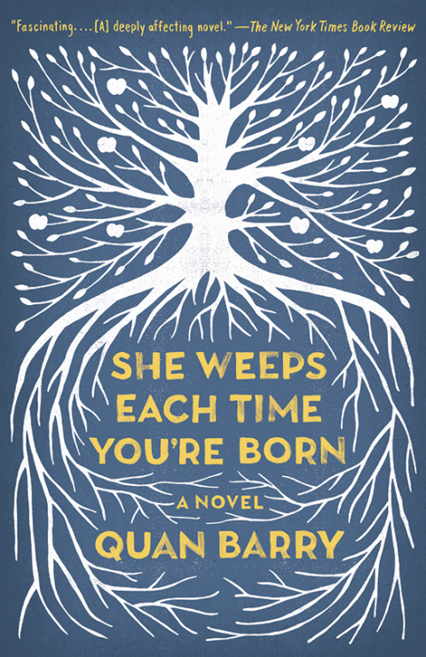 Cover image for book She Weeps Each Time You're Born