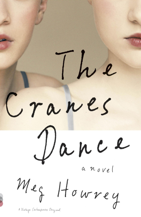Cover image for book The Cranes Dance