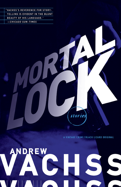 Cover image for book Mortal Lock