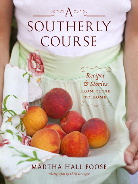 Cover image for book A Southerly Course