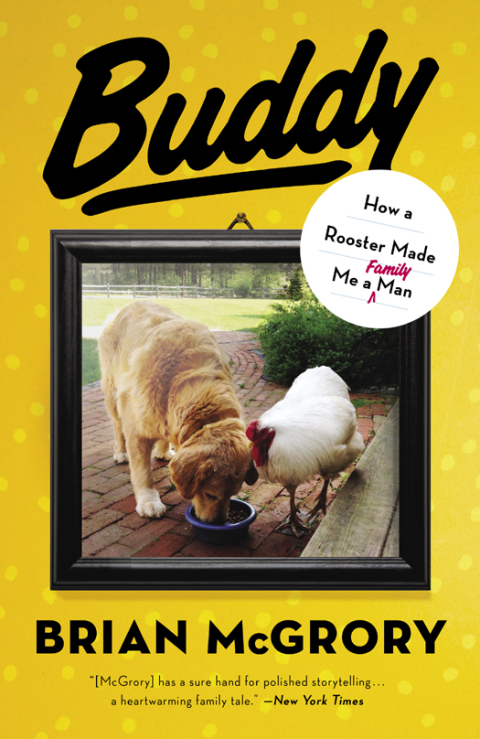 Cover image for book Buddy